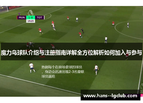 魔力鸟球队介绍与注册指南详解全方位解析如何加入与参与