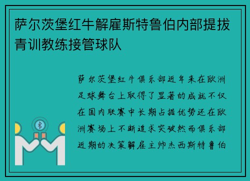 萨尔茨堡红牛解雇斯特鲁伯内部提拔青训教练接管球队